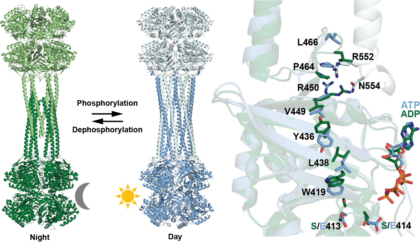 Graphical Abstract