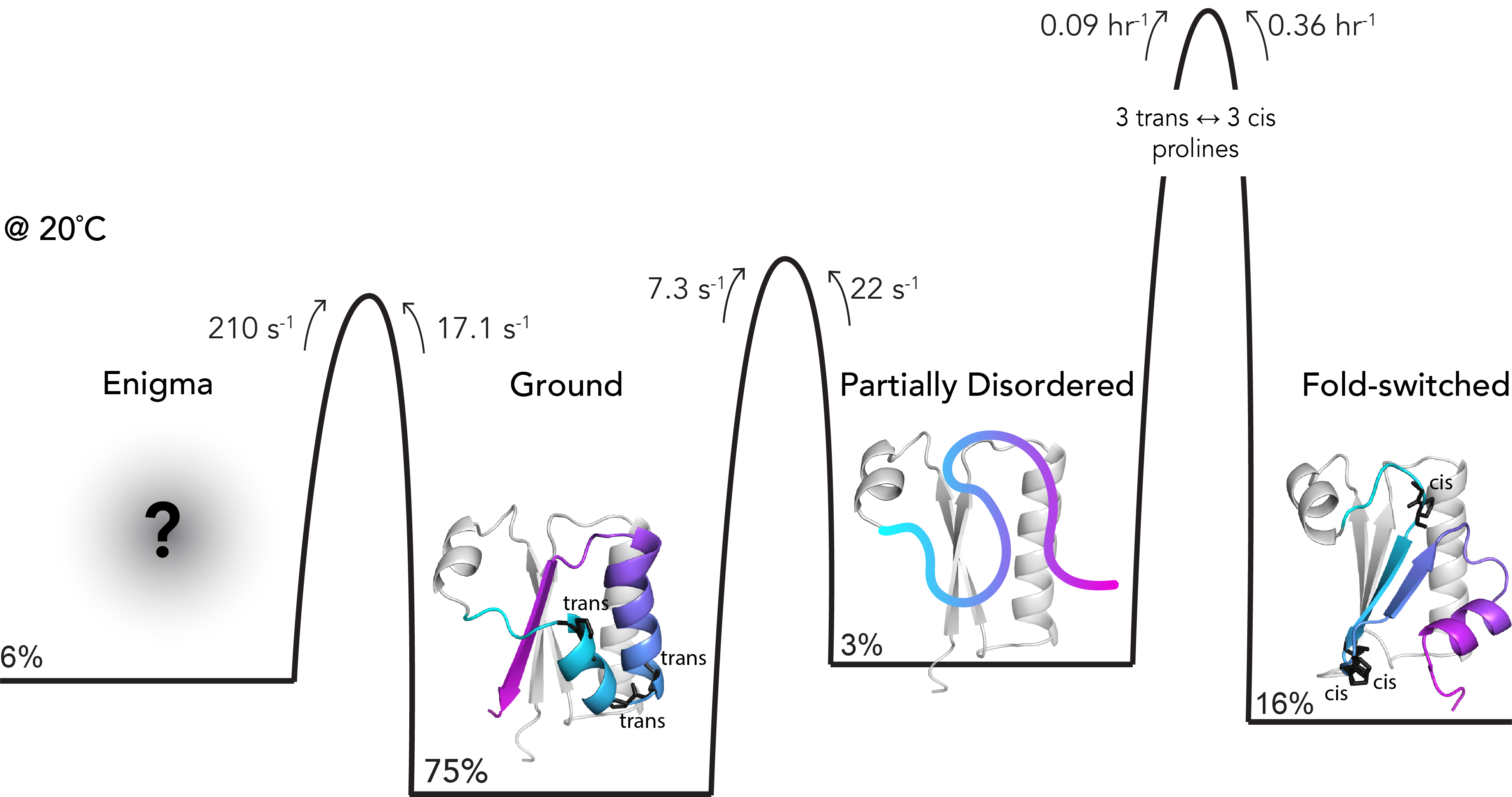 Graphical Abstract