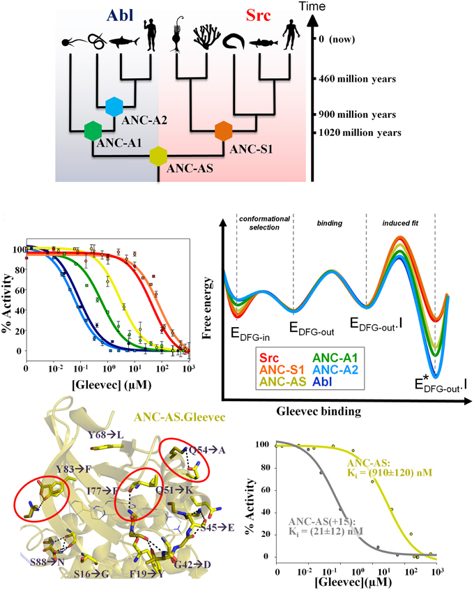 Graphical Abstract