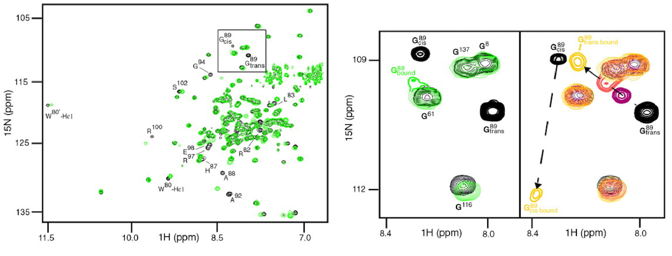 Graphical Abstract