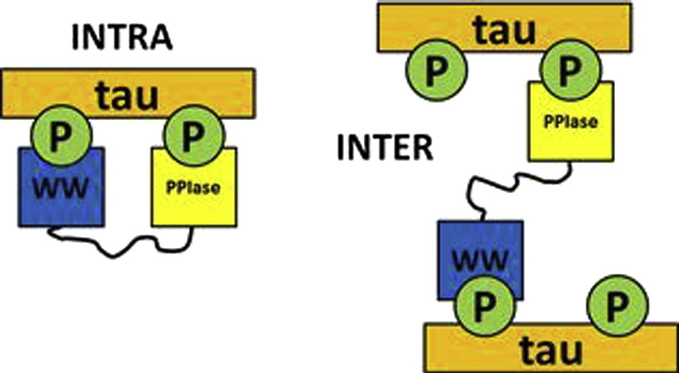 Graphical Abstract