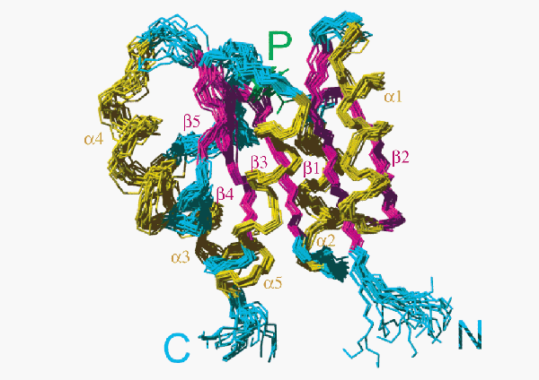 Graphical Abstract