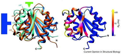 Graphical Abstract