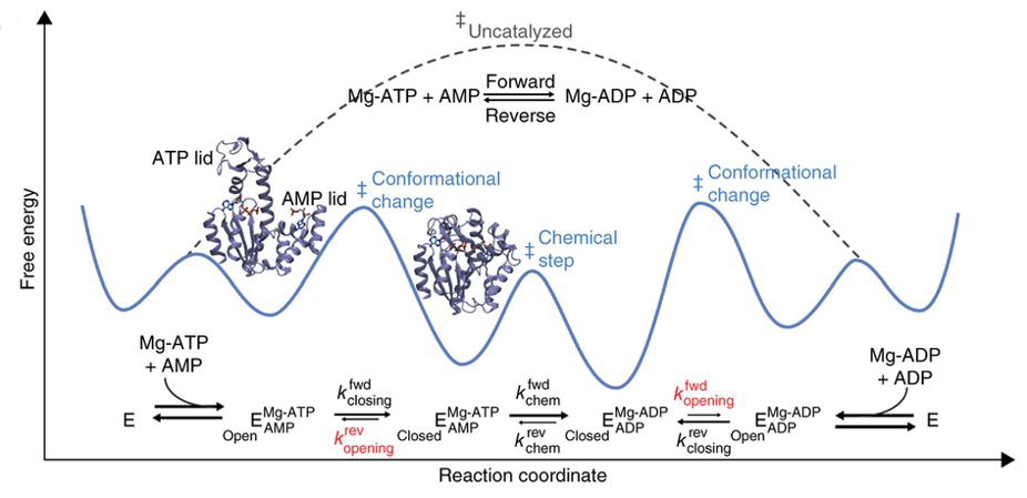 Graphical Abstract