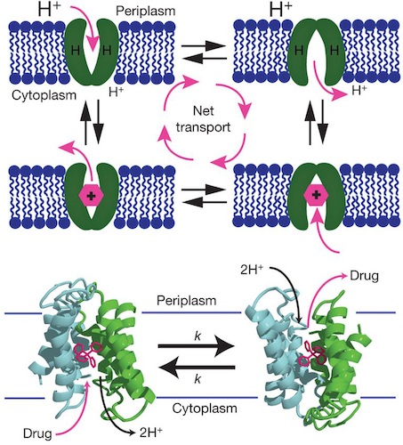 Graphical Abstract