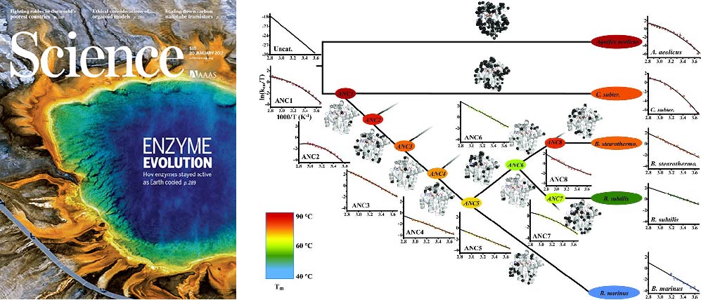 Graphical Abstract