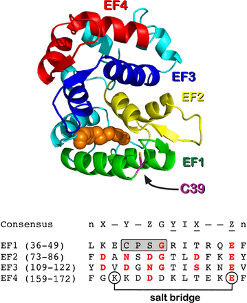 Graphical Abstract