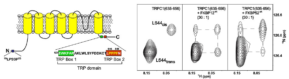 Graphical Abstract