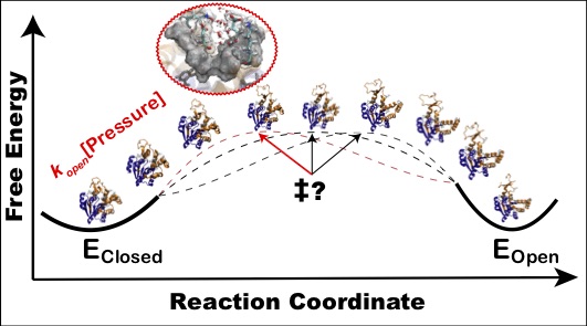 Graphical Abstract