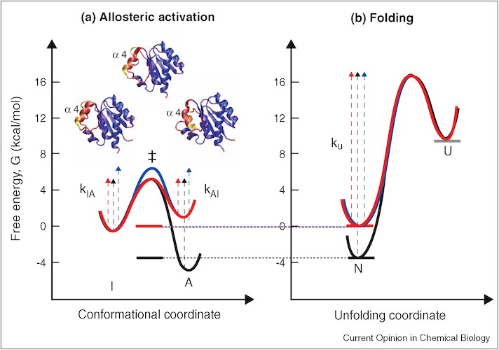 Graphical Abstract