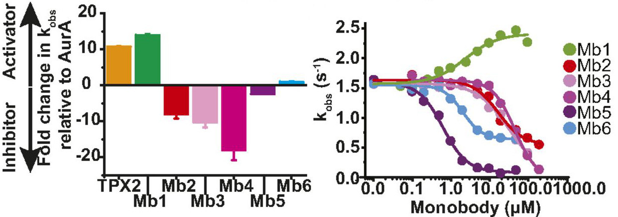 Graphical Abstract